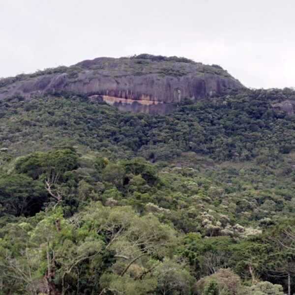 Passeio Pedra do Carmo
